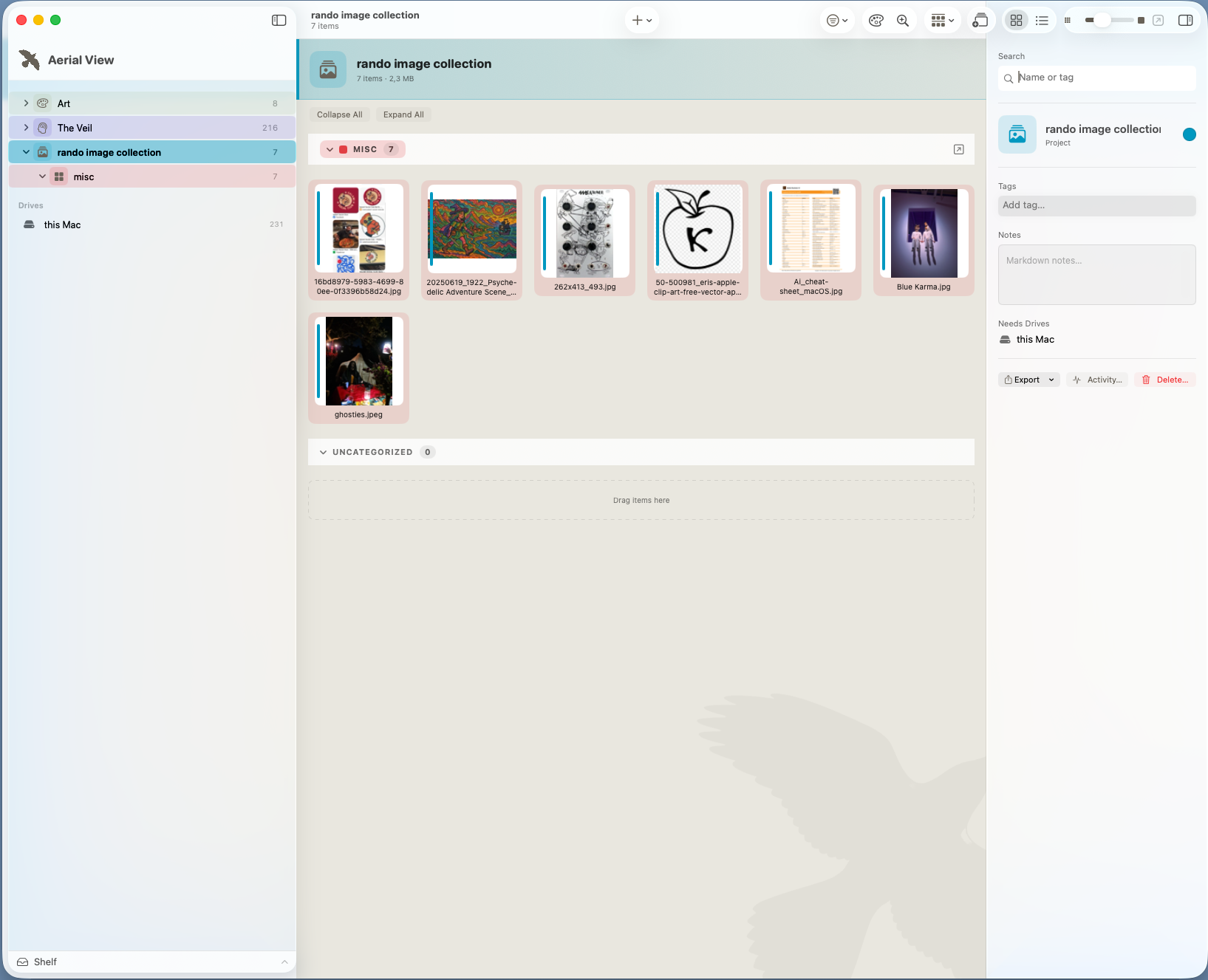 Aerial View interface