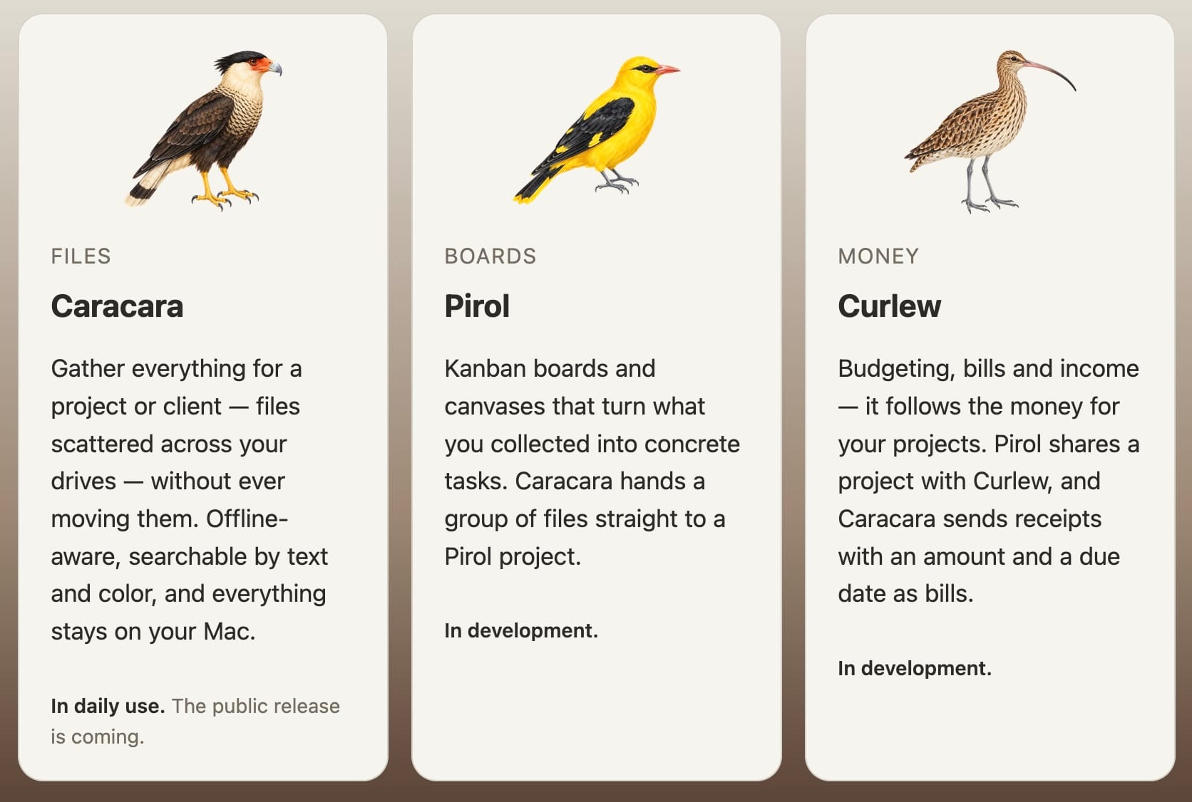 From Salad to Aviary: How I Named Three Apps and Lost My Mind